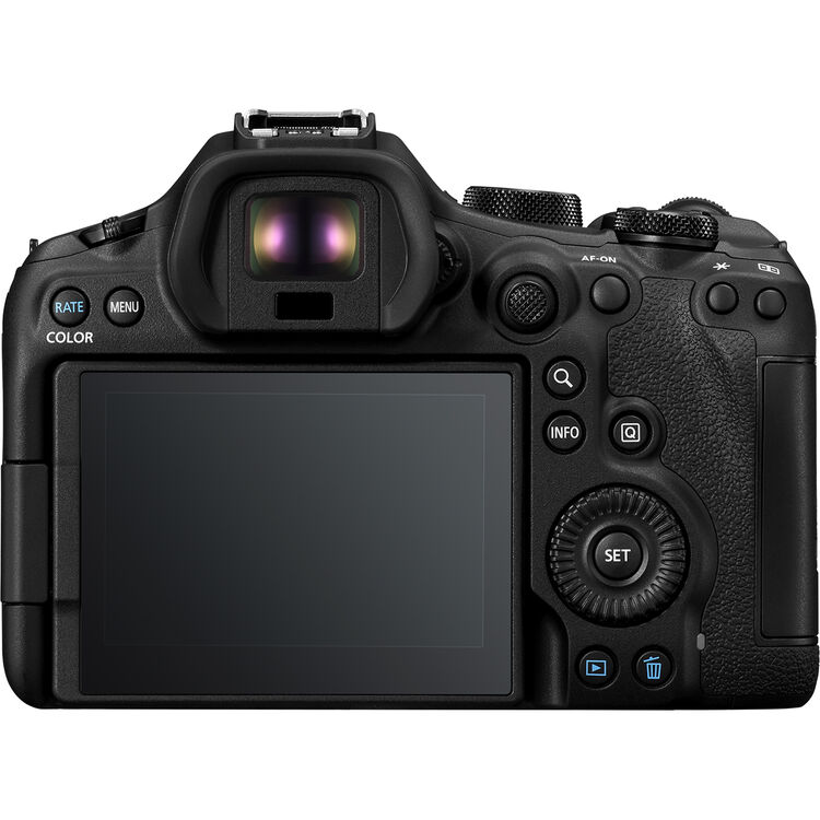 Canon EOS R6 Mark III with RF 24-105 f/4L IS USM - Image 3
