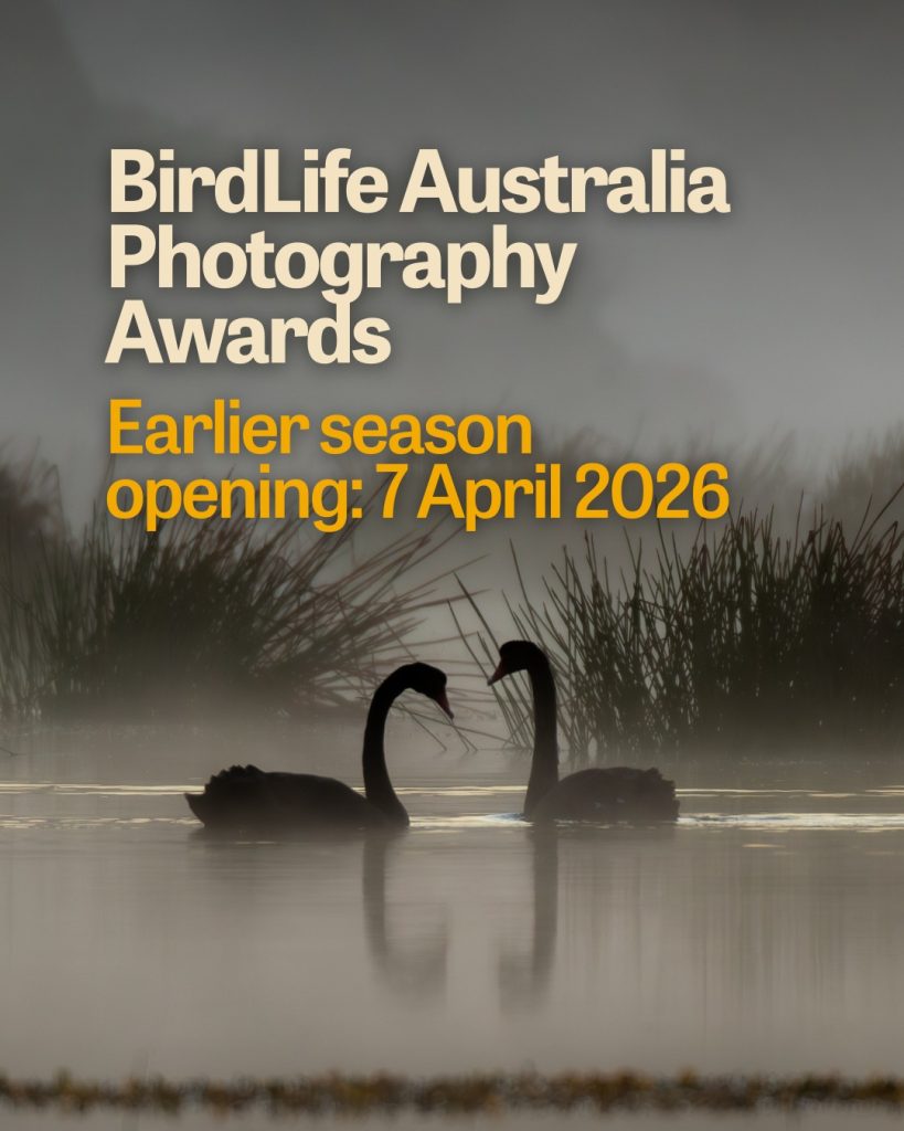 birdlifephotoau2026